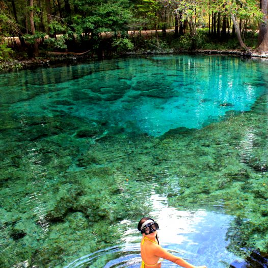 Snorkeling Ginnie Springs-High Springs, Florida | The Legendary ...
