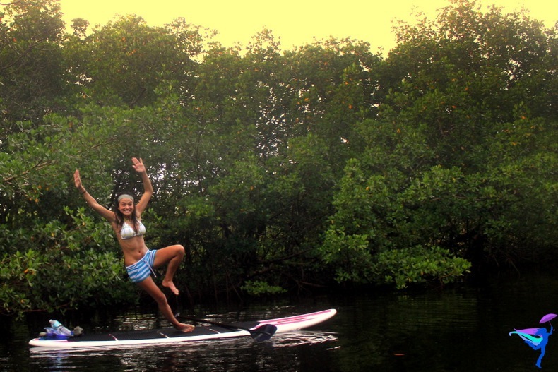 Paddleboard Naples Florida