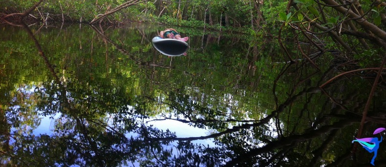 Paddleboard Naples Florida