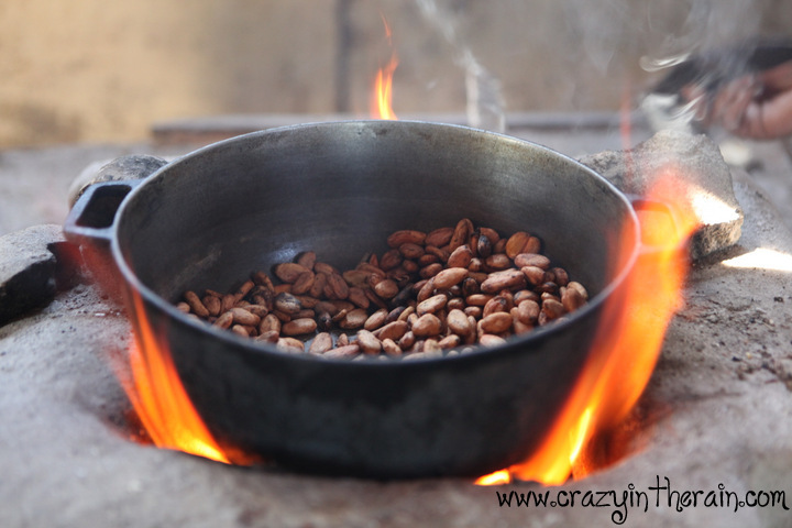 Cacao Beans