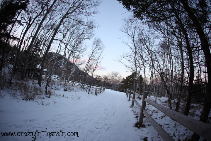 Snow Acadia National Park Bar Harbor Maine