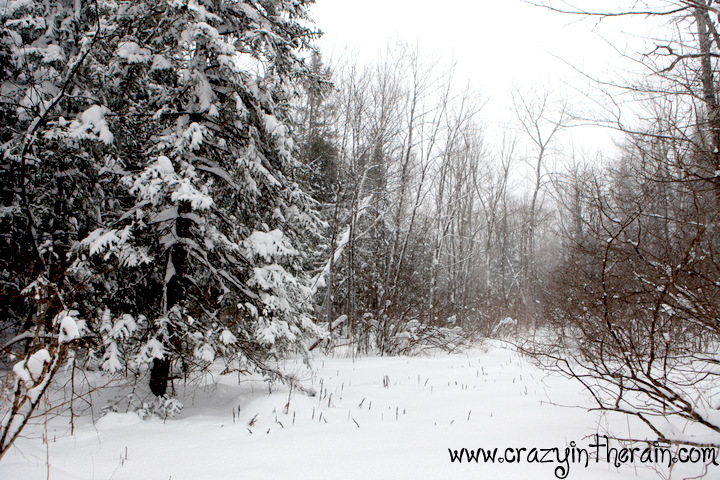 Maine Snowstorm