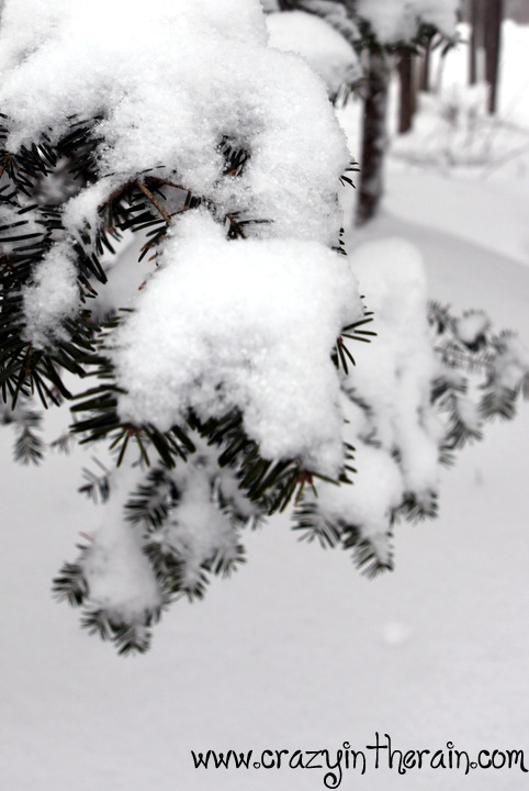 Maine Snowstorm