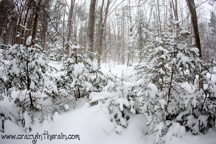 Maine Snowstorm