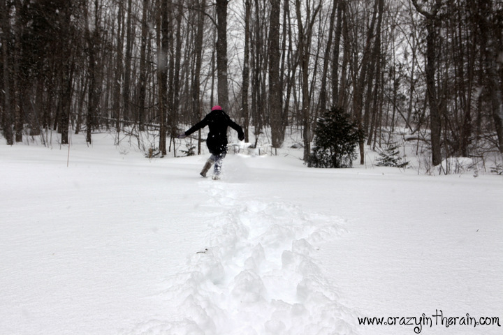 Maine Snowstorm