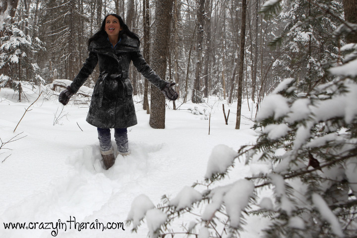 Maine Snowstorm