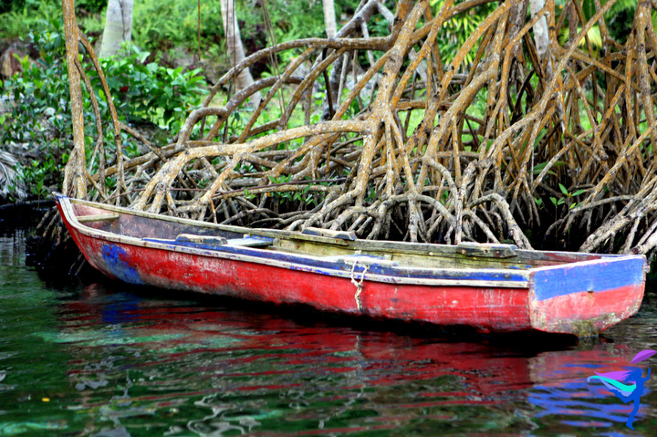 Clear River Rincon, Dominican Republic