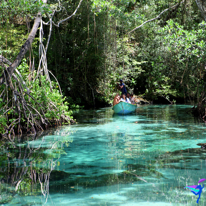 Clear River Rincon, Dominican Republic