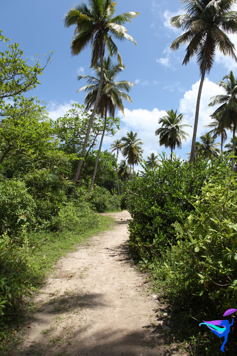 Clear River Rincon, Dominican Republic