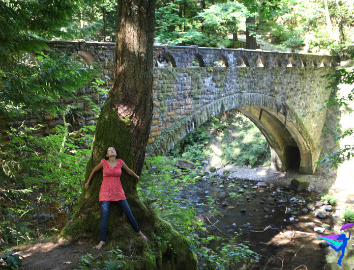 Whatcom Falls Bellingham, Washington
