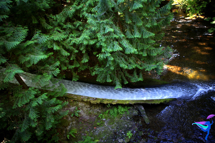 Whatcom Falls Bellingham, Washington