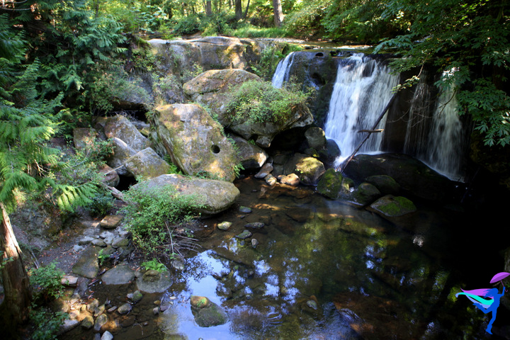 Whatcom Falls Bellingham, Washington