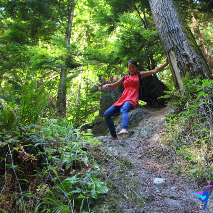 Whatcom Falls Bellingham, Washington