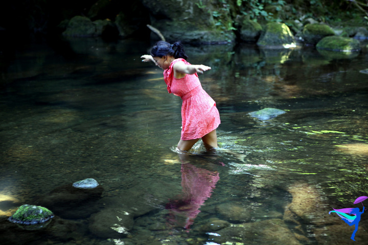 Whatcom Falls Bellingham, Washington