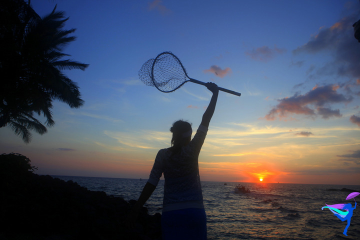 Sunset fish net