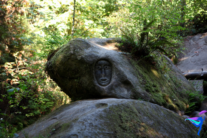 Face Carved in Rock Whatcom Falls 