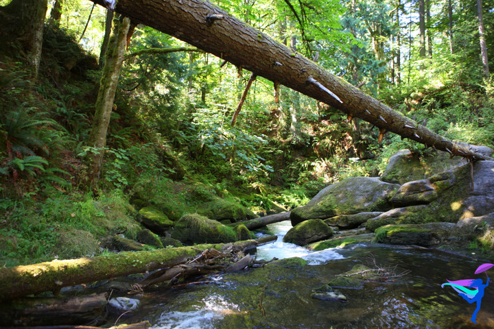 Green Bellingham, Washington