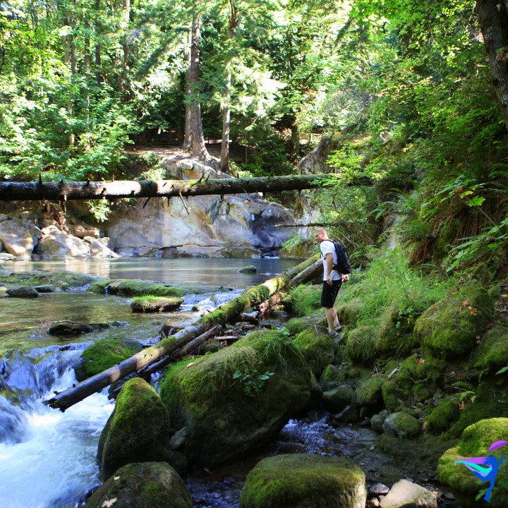 Green Bellingham, Washington