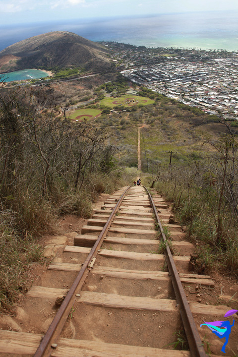 Koko Crater Railway Trail - Honolulu, HI