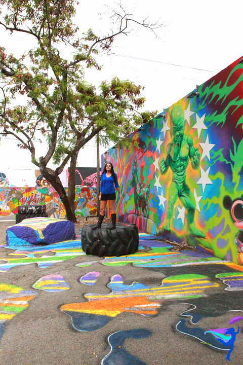 miami wynwood walls graffiti street art urban art