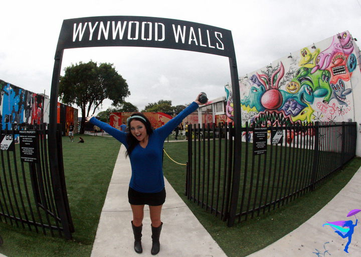 miami wynwood walls graffiti street art urban art