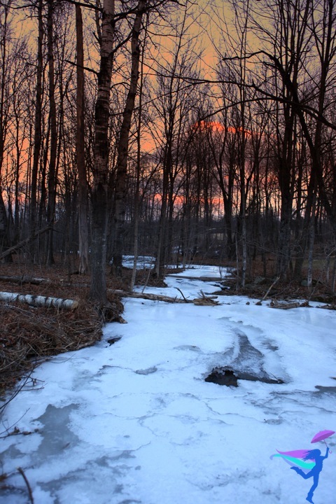 Maine winter sunset
