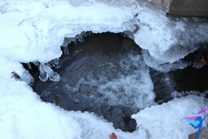 frozen stream water ice