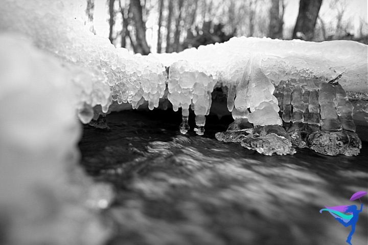 frozen stream water ice