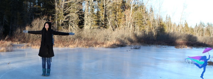 Maine Winter frozen pond