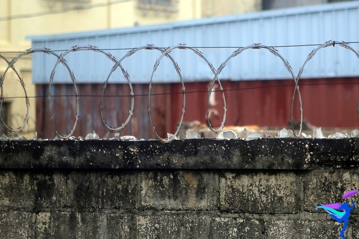 razor wire glass belize
