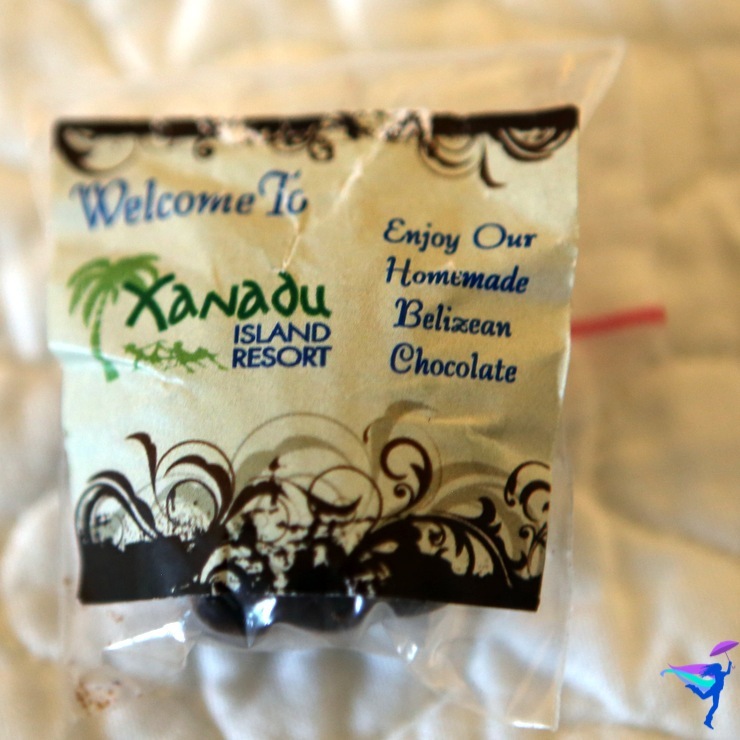 Belize Chocolate