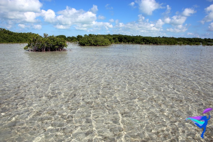 Belize clear water