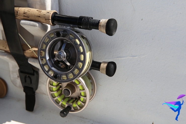 belize fly fishing