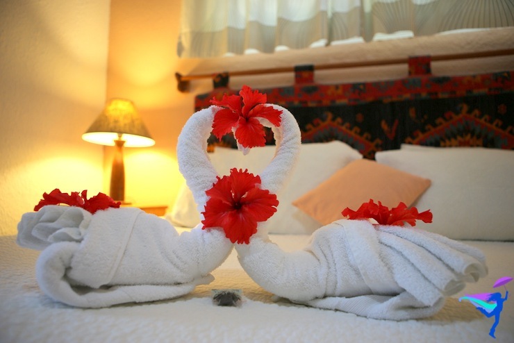 towel swans