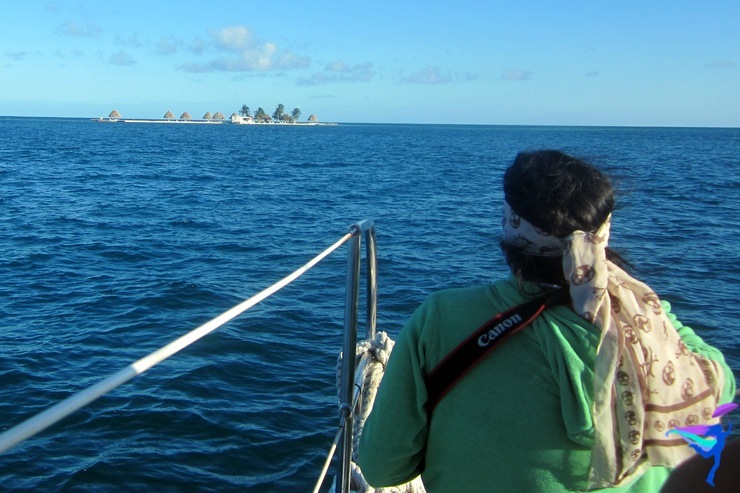 Raggamuffin Sailing Tour Belize