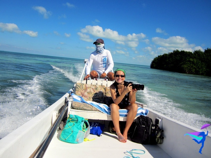 GoFish Belize boat camera
