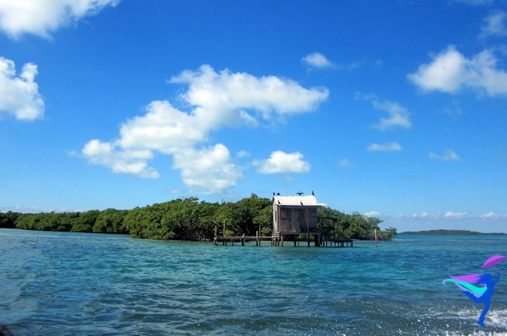 GoFish Belize