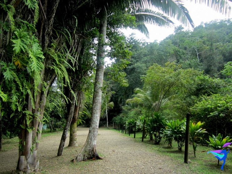 Belmopan, Belize Cave Tubing