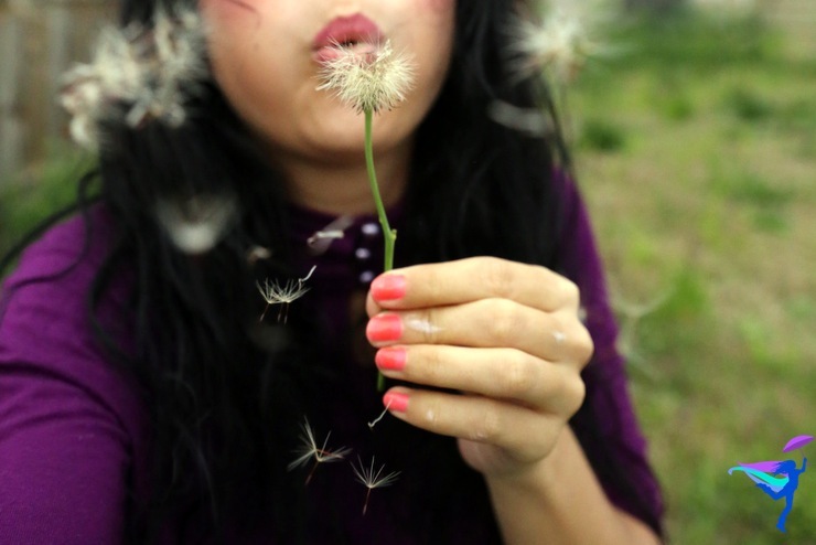 blow dandelion