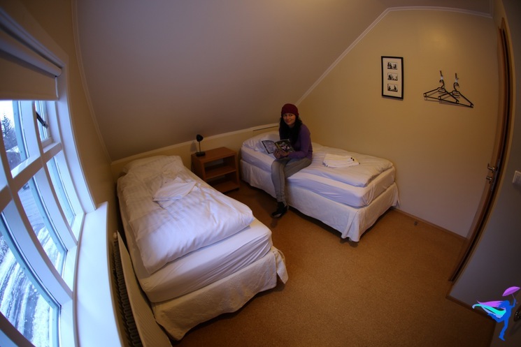 Frumskógar Guesthouse - Hveragerði, Iceland