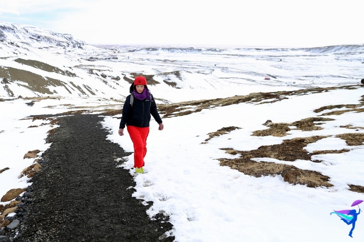 Frumskógar Guesthouse - Hveragerði, Iceland