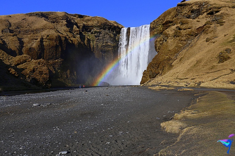Skógafoss Waterfall Iceland Rainbow