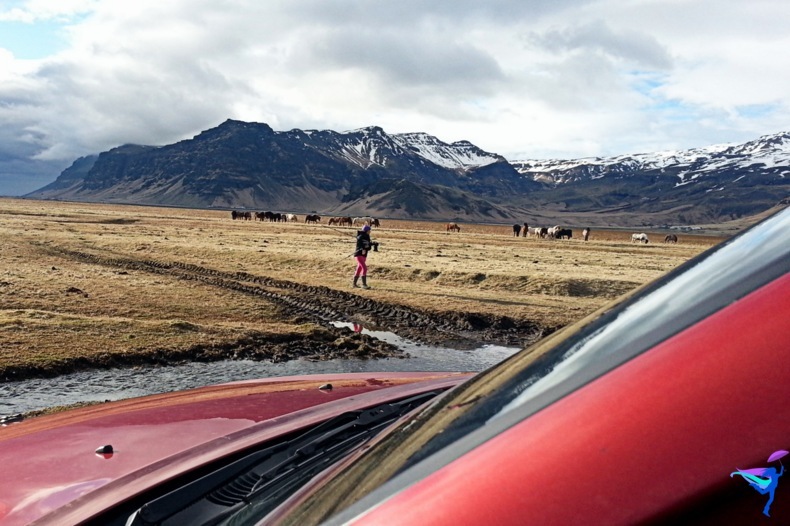 Iceland Ring Road Trip