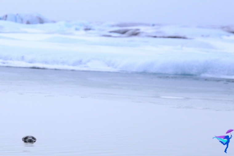 Jökulsárlón (Glacier Bay) Iceland