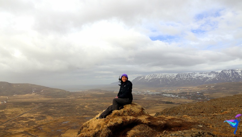Quad Tour Iceland