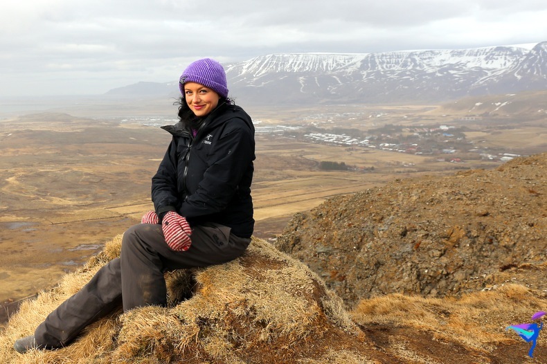 Quad Tour Iceland