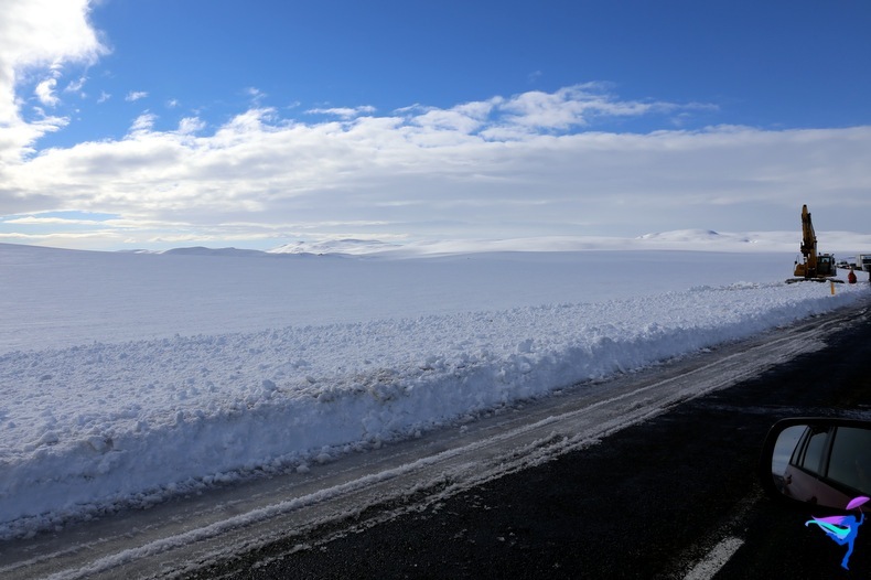 Iceland Ring Road Trip