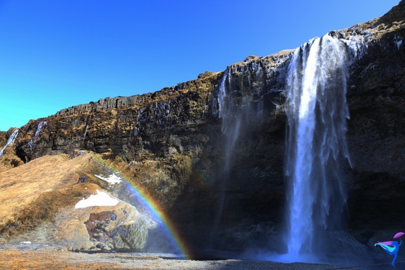 Iceland Ring Road Trip