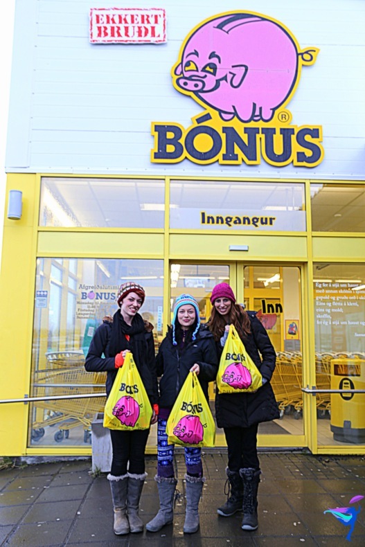 Bonus Grocery Store Bags Iceland