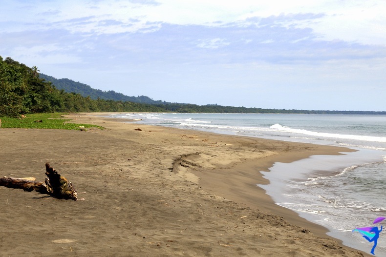 beach Banana Azul Hotel Puerto Viejo Costa Rica